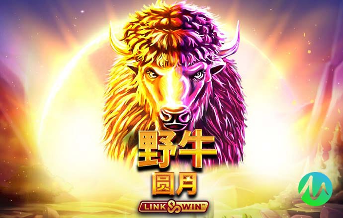 龙珠体育下载